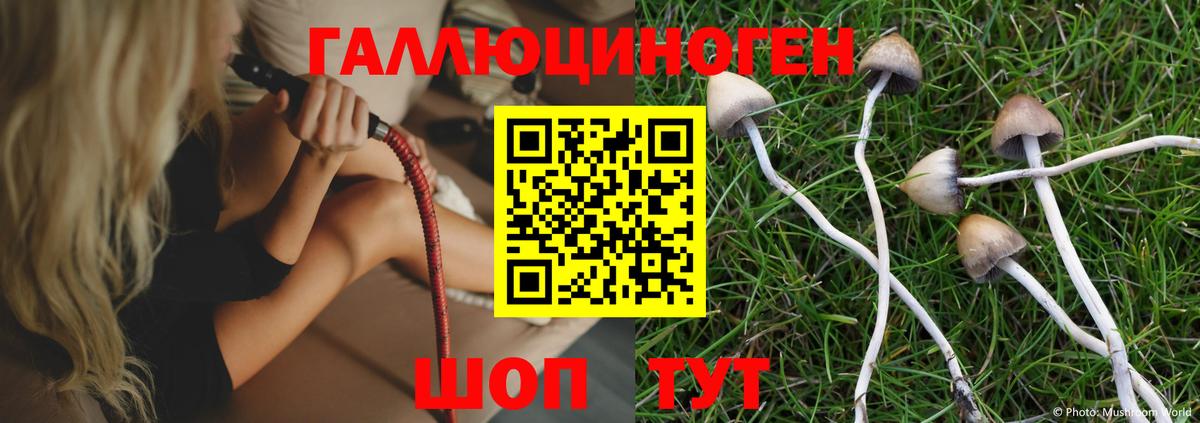 Псилоцибиновые грибы мицелий  Костомукша 