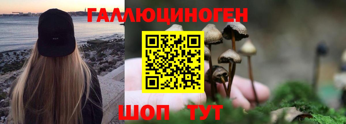 Галлюциногенные грибы Psilocybine cubensis Костомукша