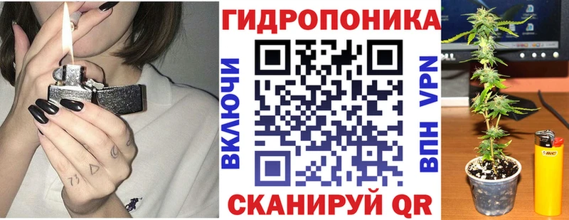 Бошки марихуана план  Костомукша 